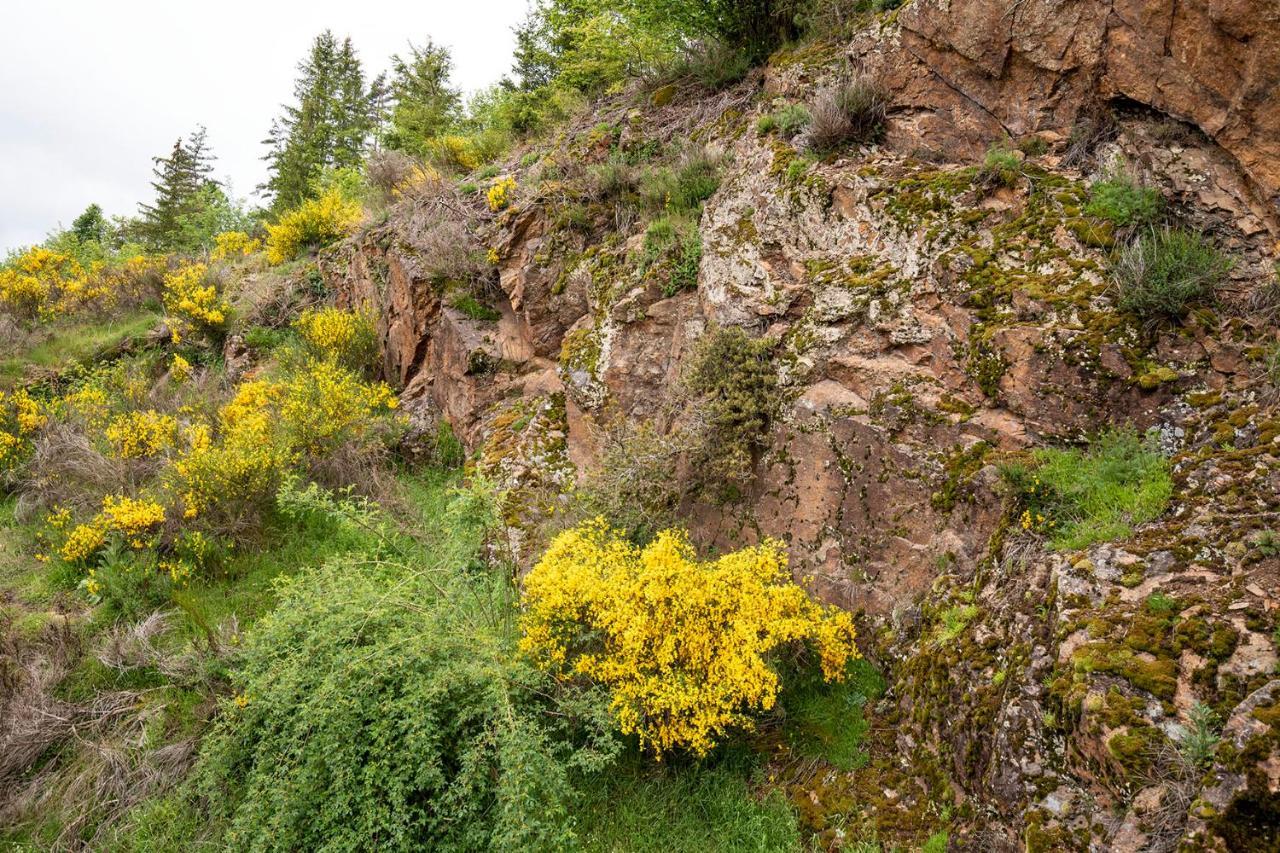 Moulin Des Comtes - Chambre Les Rochers Viverols Exterior photo